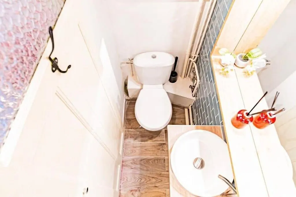 Apartament Le Perchoir Villeurbanne 0*,
